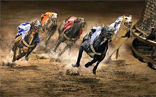 En hareketli kareler 16