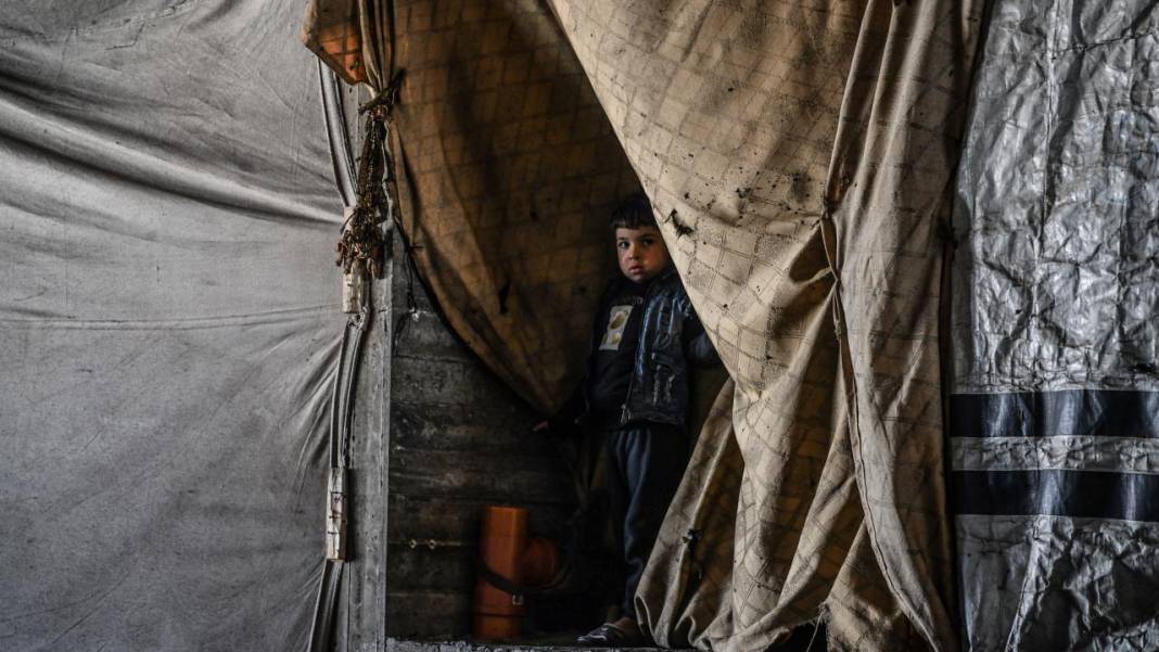 Refah'a sığınan Filistinli aileler, derme çatma çadırlarda yaşam mücadelesi veriyor 5