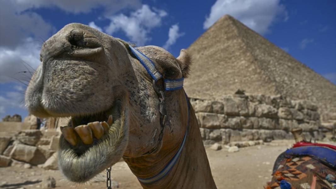 Mısır'da turistlerin çekim noktası: Giza piramitleri 7