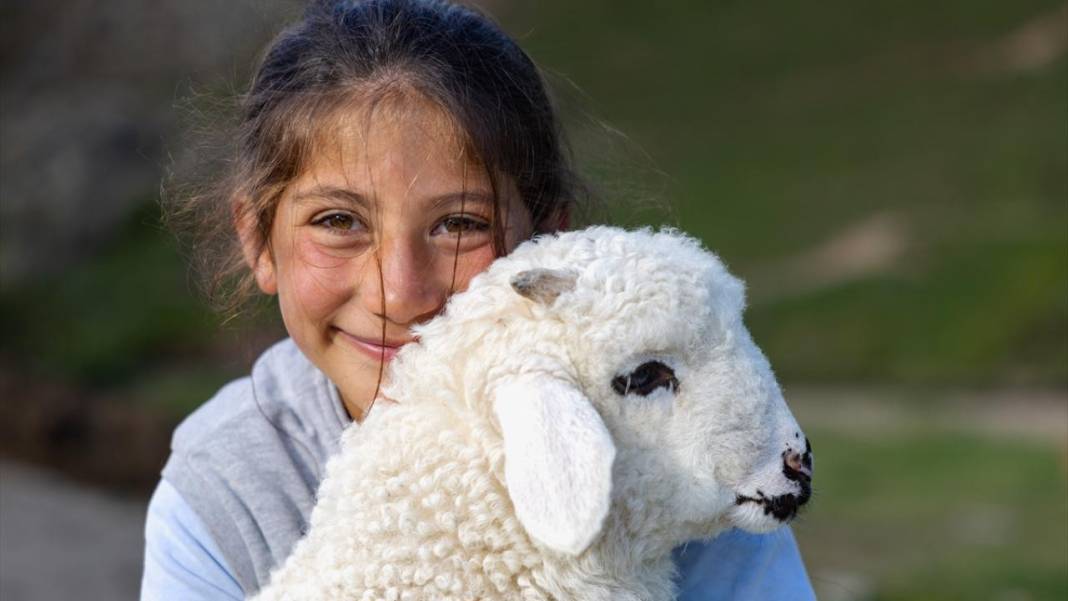 Gümüşhane'nin Taşköprü Yaylası 5