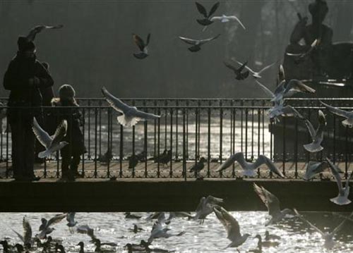 Bir güvercin gözüyle yaşam... 10