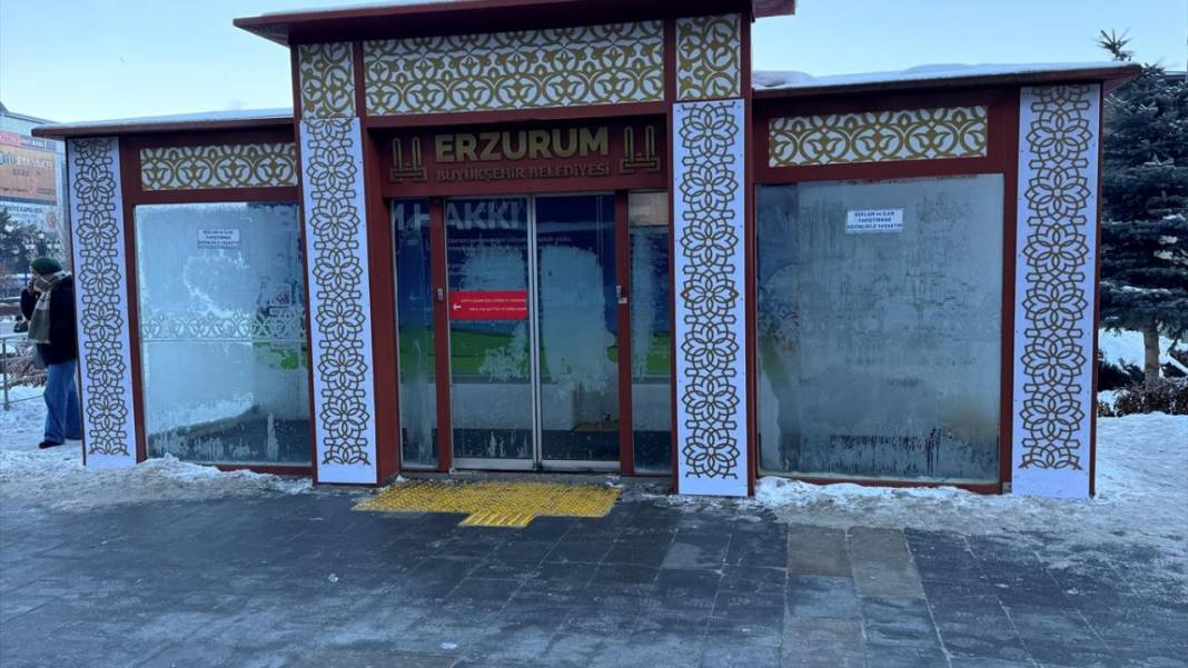 Doğu Anadolu'da Sibirya soğukları: Çeşmeler dondu 1