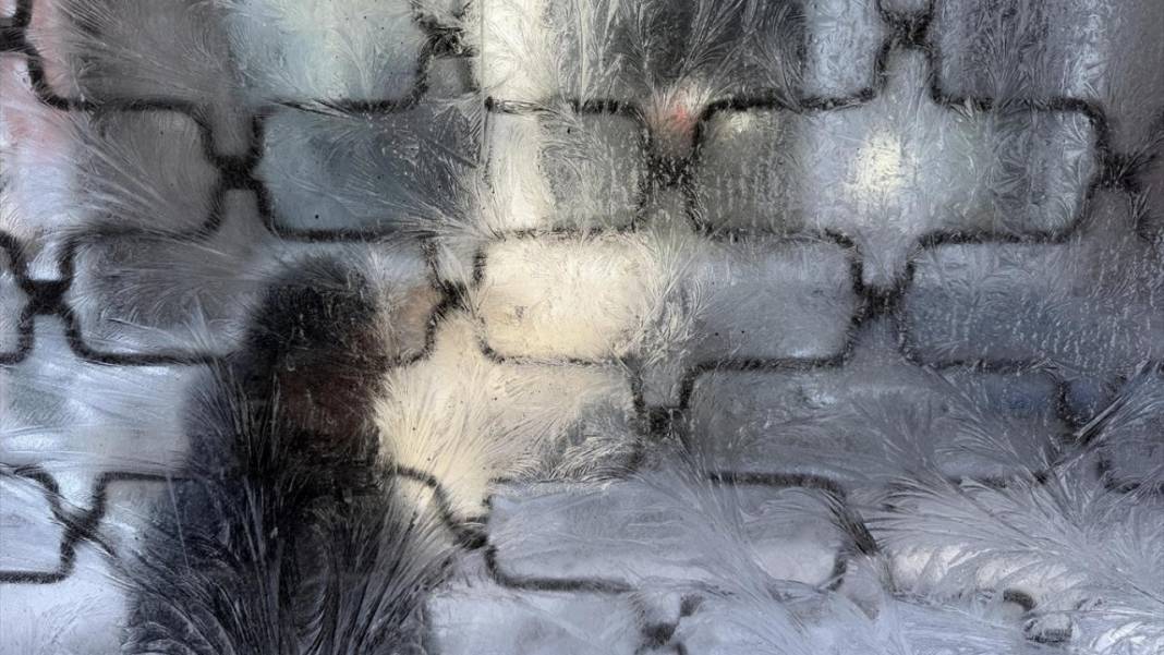 Doğu Anadolu'da Sibirya soğukları: Çeşmeler dondu 4