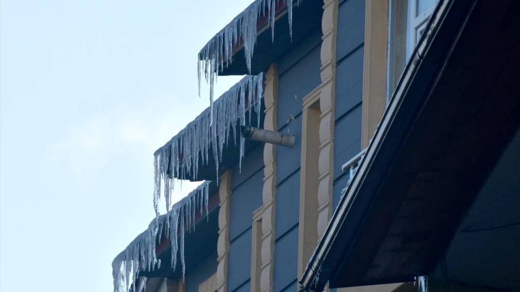 Doğu Anadolu'da Sibirya soğukları: Çeşmeler dondu 5