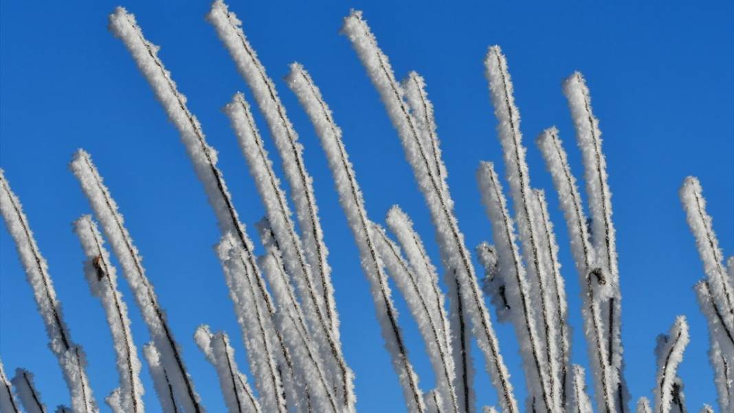 Doğu Anadolu'da Sibirya soğukları: Çeşmeler dondu 6