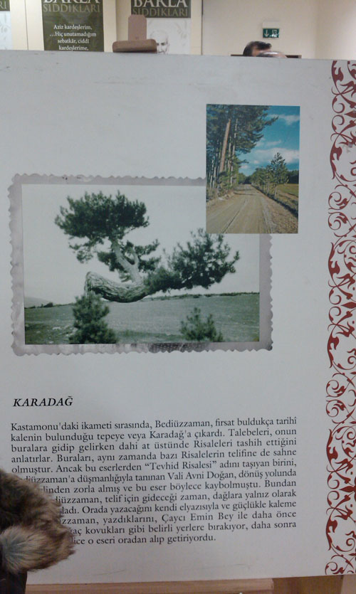 Almanya'da Bediüzzaman sergisi 32