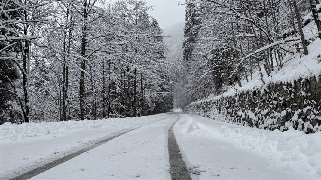 Sümela Manastırı ve Altındere Vadisi beyaz örtüsüyle görüntülendi 12