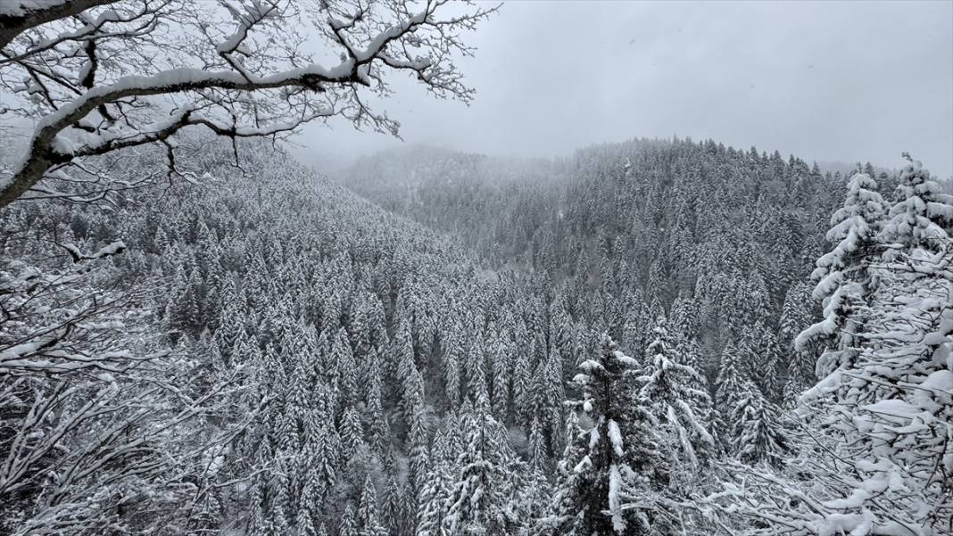 Sümela Manastırı ve Altındere Vadisi beyaz örtüsüyle görüntülendi 14