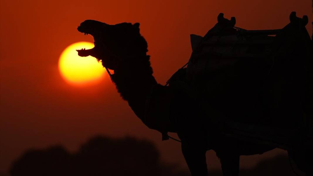 Pushkar Çölü'nde gün batımı 14