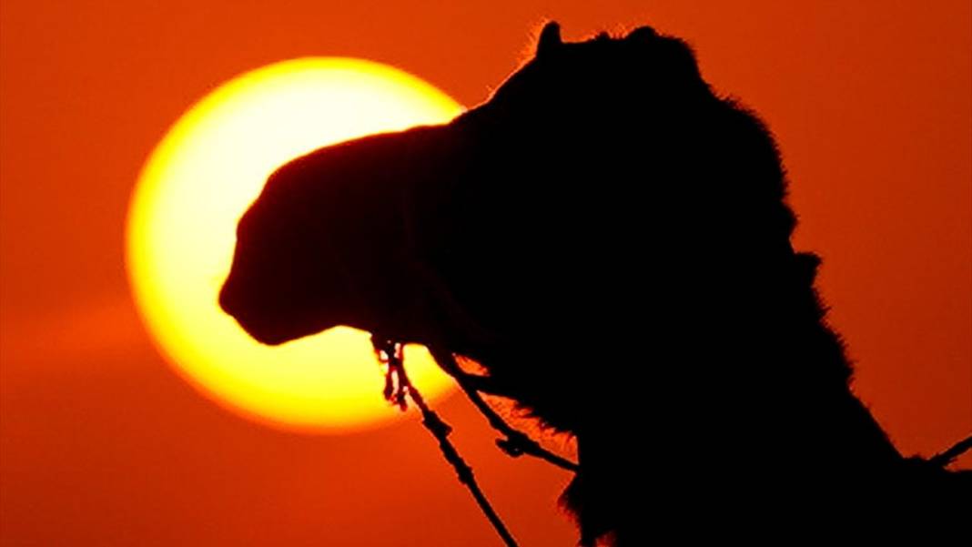 Pushkar Çölü'nde gün batımı 15