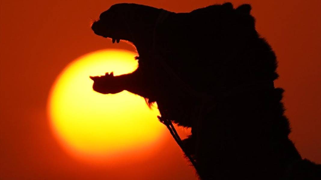 Pushkar Çölü'nde gün batımı 3