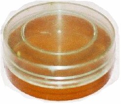 Said Nursi'den kalan malvarlığı 36