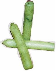 Said Nursi'den kalan malvarlığı 49