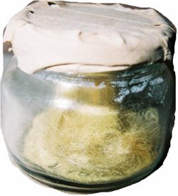 Said Nursi'den kalan malvarlığı 58