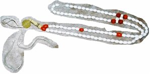 Said Nursi'den kalan malvarlığı 67