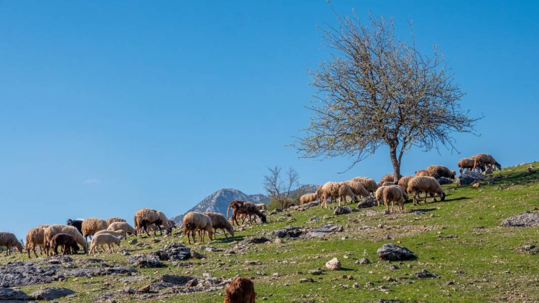 Antalya'nın Girendere Yaylası 1
