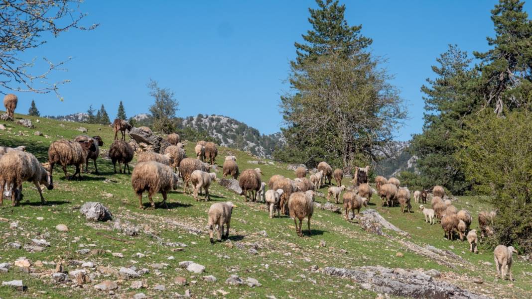 Antalya'nın Girendere Yaylası 5