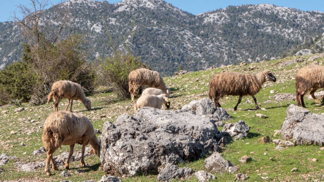 Antalya'nın Girendere Yaylası 7
