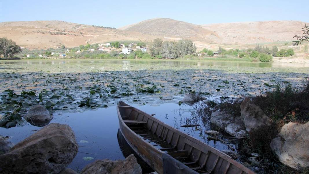 Gölbaşı Gölü'nde çiçek açan nilüfer güzelliği 8
