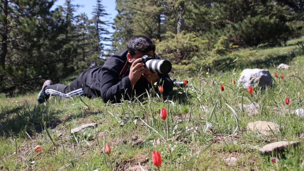 Senede bir gün açıp 10 gün canlı kalıyor, koparmanın cezası 557 bin TL 14