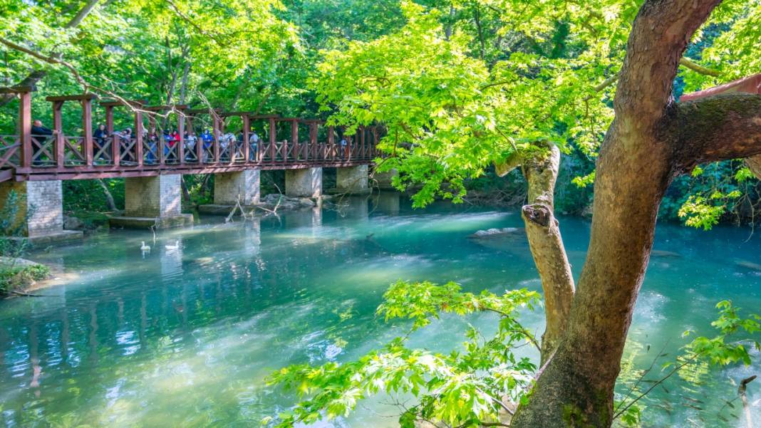İlkbahar, Kurşunlu Şelalesi'nde bir başka güzel 12
