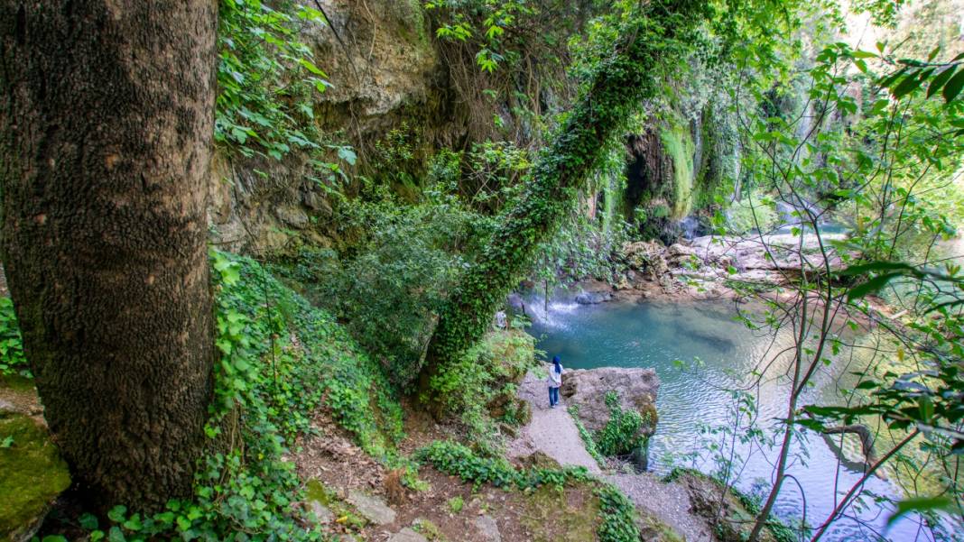 İlkbahar, Kurşunlu Şelalesi'nde bir başka güzel 2