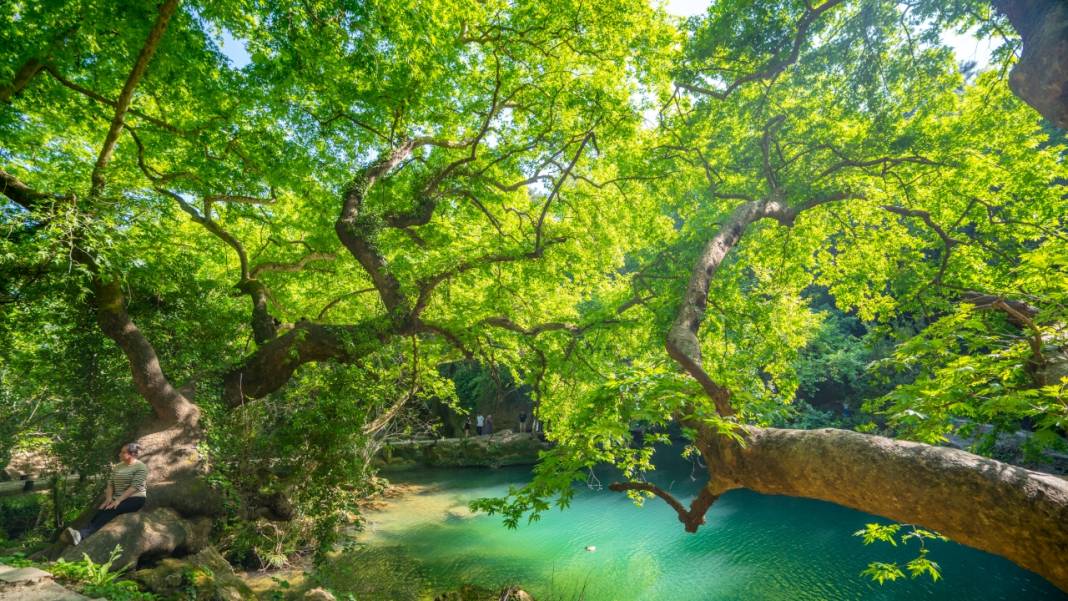 İlkbahar, Kurşunlu Şelalesi'nde bir başka güzel 6
