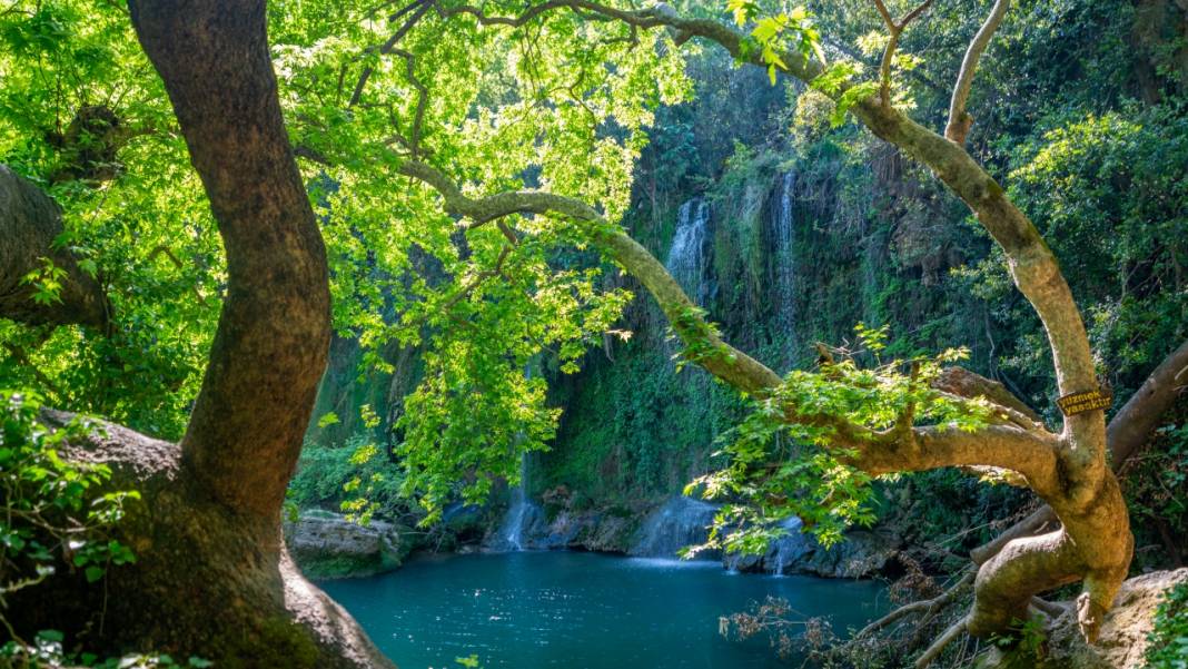 İlkbahar, Kurşunlu Şelalesi'nde bir başka güzel 9