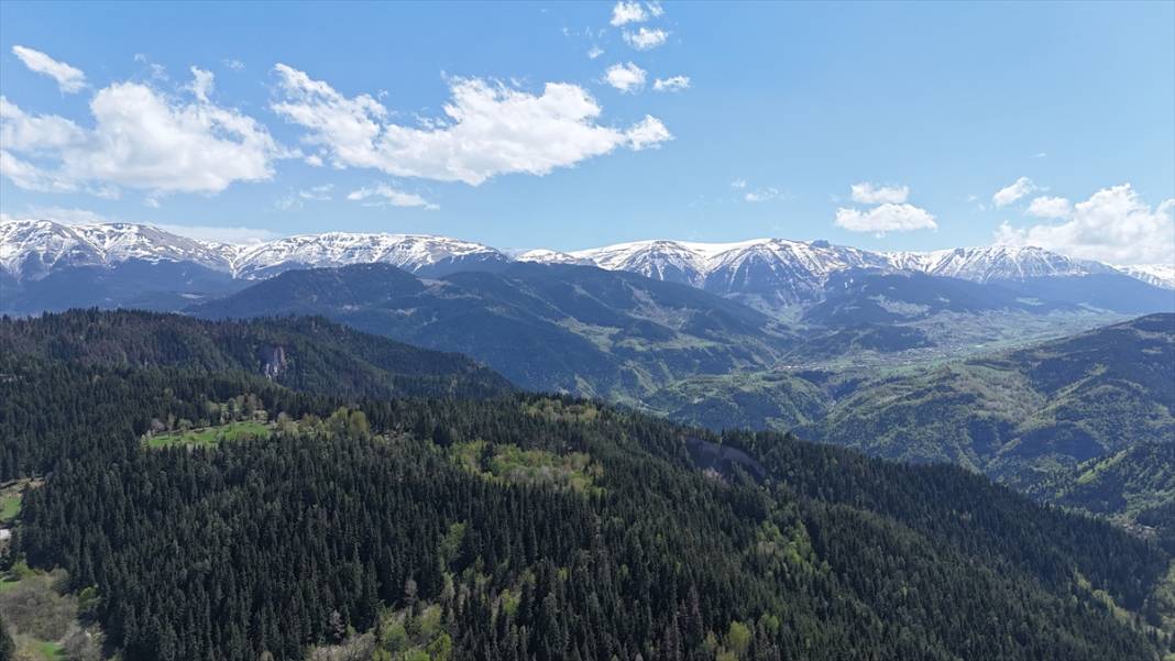 'Sakin şehir' ilkbaharla birlikte canlandı 1