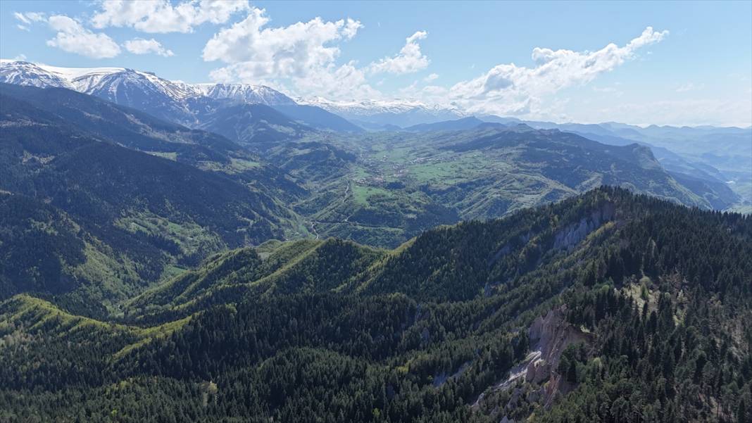 'Sakin şehir' ilkbaharla birlikte canlandı 10