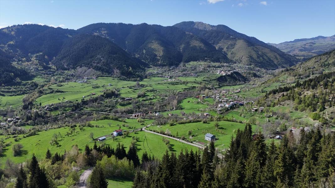 'Sakin şehir' ilkbaharla birlikte canlandı 12