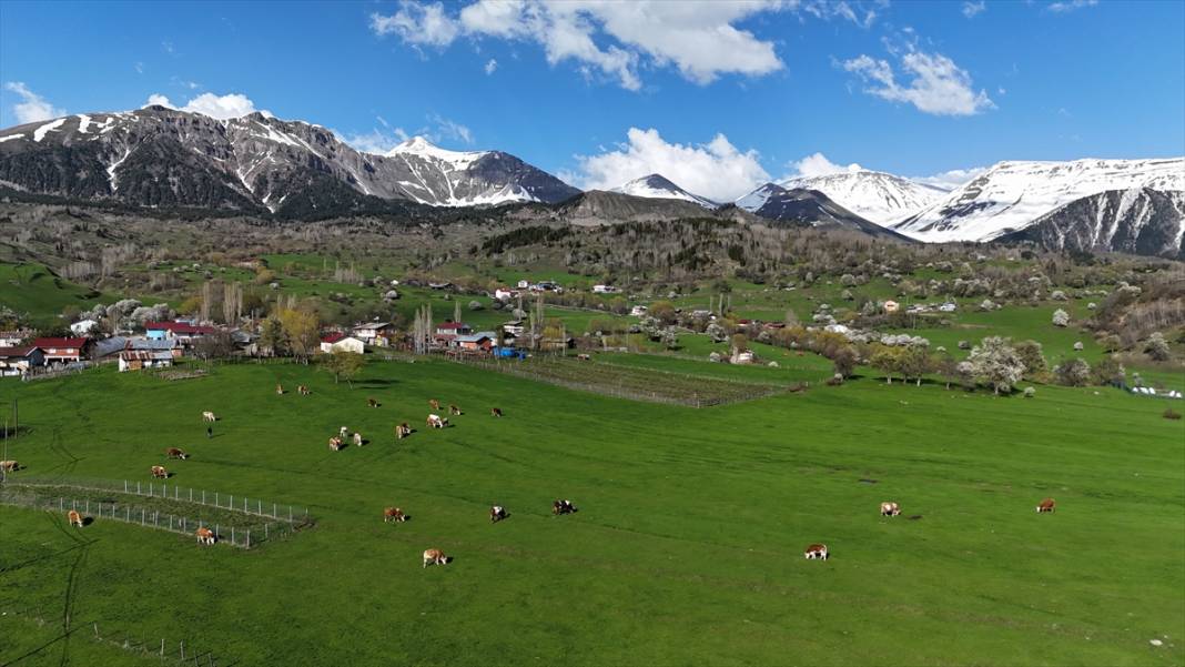 'Sakin şehir' ilkbaharla birlikte canlandı 13