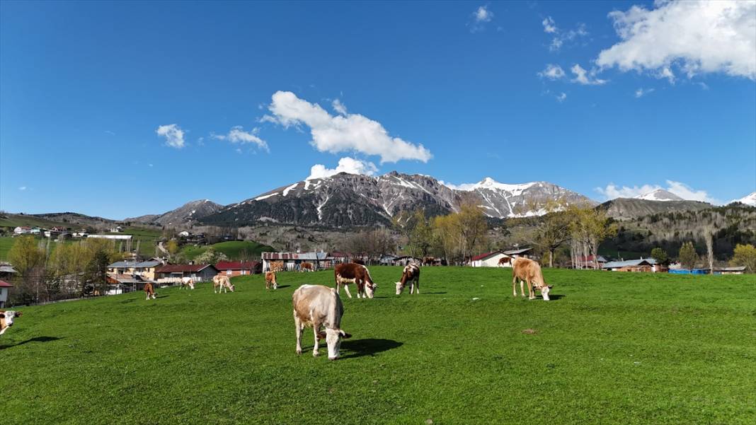'Sakin şehir' ilkbaharla birlikte canlandı 3