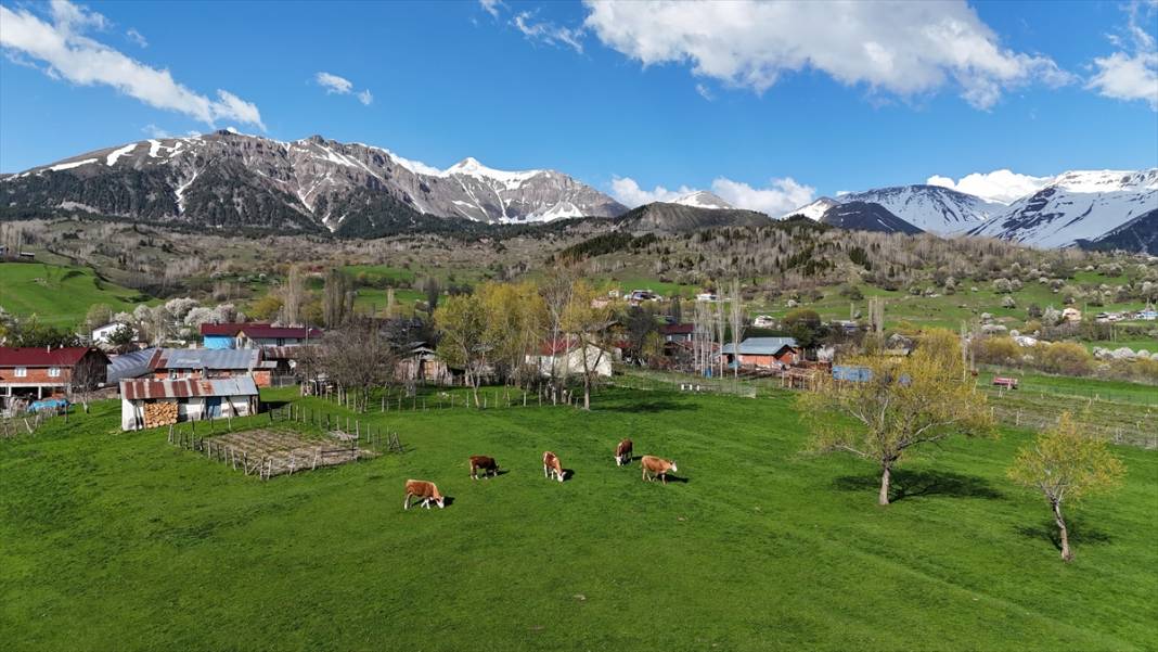 'Sakin şehir' ilkbaharla birlikte canlandı 4