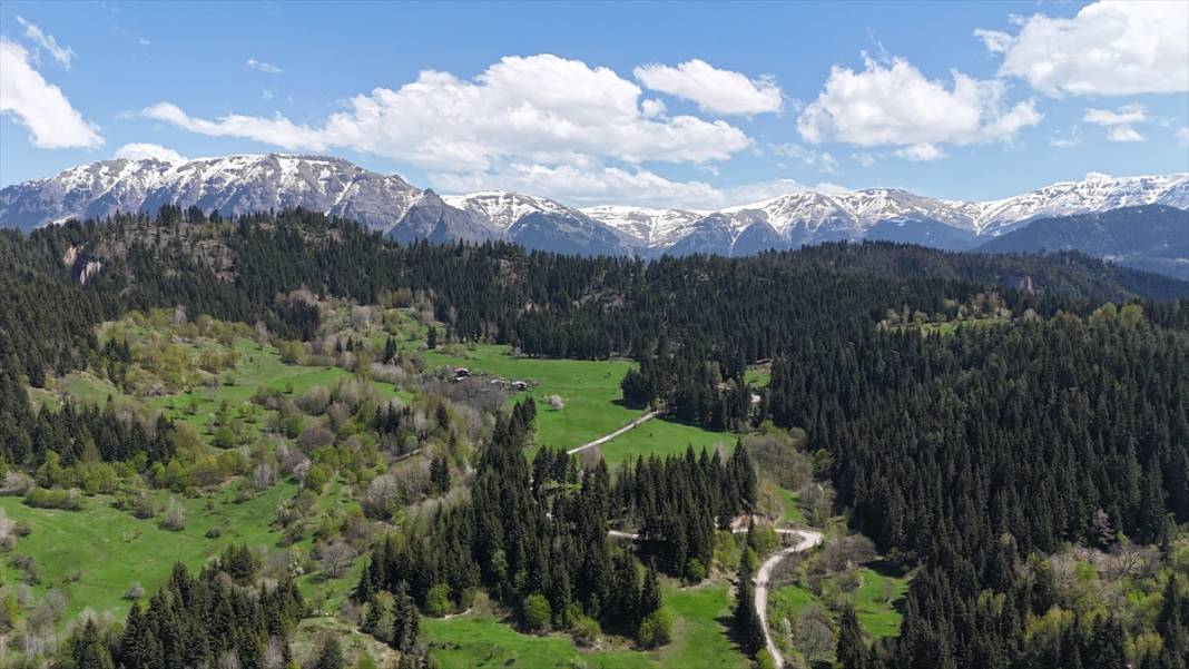 'Sakin şehir' ilkbaharla birlikte canlandı 6