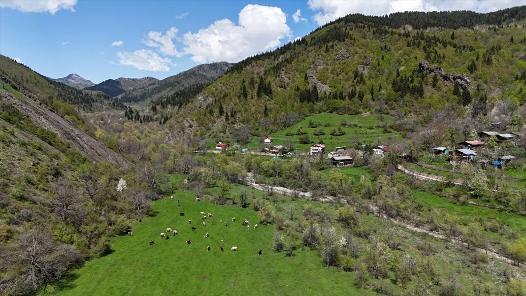 'Sakin şehir' ilkbaharla birlikte canlandı 7