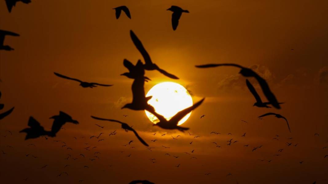 Van'da gün batımı 7