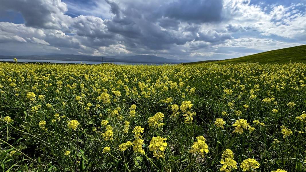 Karakaya Baraj Gölü'nde ilkbaharda tefekkürlük manzaralar 10