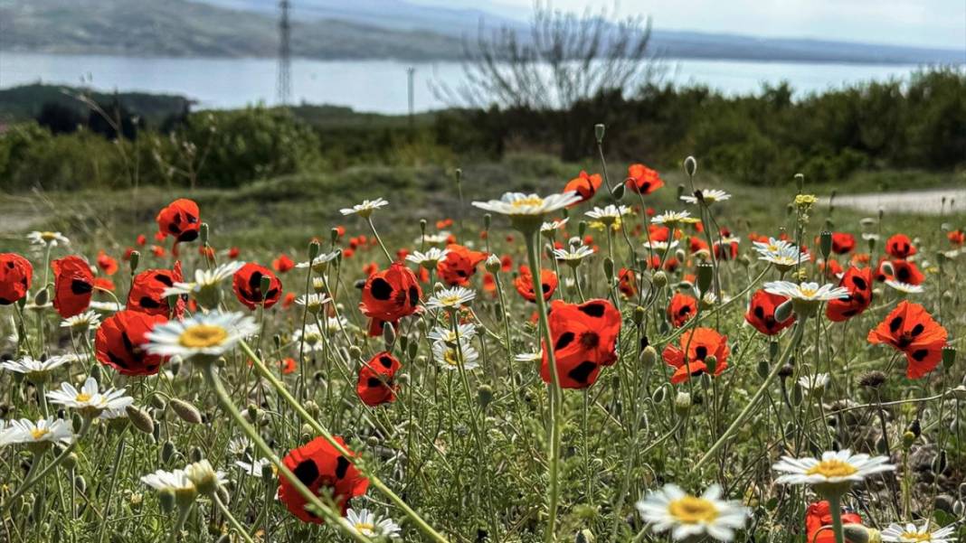 Karakaya Baraj Gölü'nde ilkbaharda tefekkürlük manzaralar 11