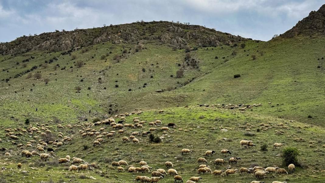 Karakaya Baraj Gölü'nde ilkbaharda tefekkürlük manzaralar 12