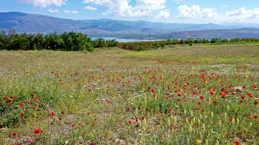 Karakaya Baraj Gölü'nde ilkbaharda tefekkürlük manzaralar 6