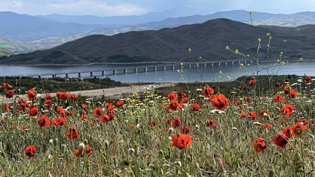 Karakaya Baraj Gölü'nde ilkbaharda tefekkürlük manzaralar 8