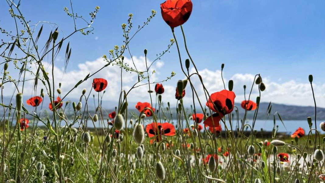 Karakaya Baraj Gölü'nde ilkbaharda tefekkürlük manzaralar 9
