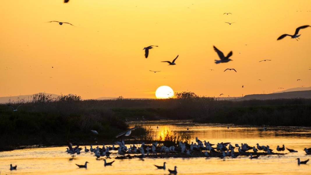 Van Gölü'nde gün batımı 1