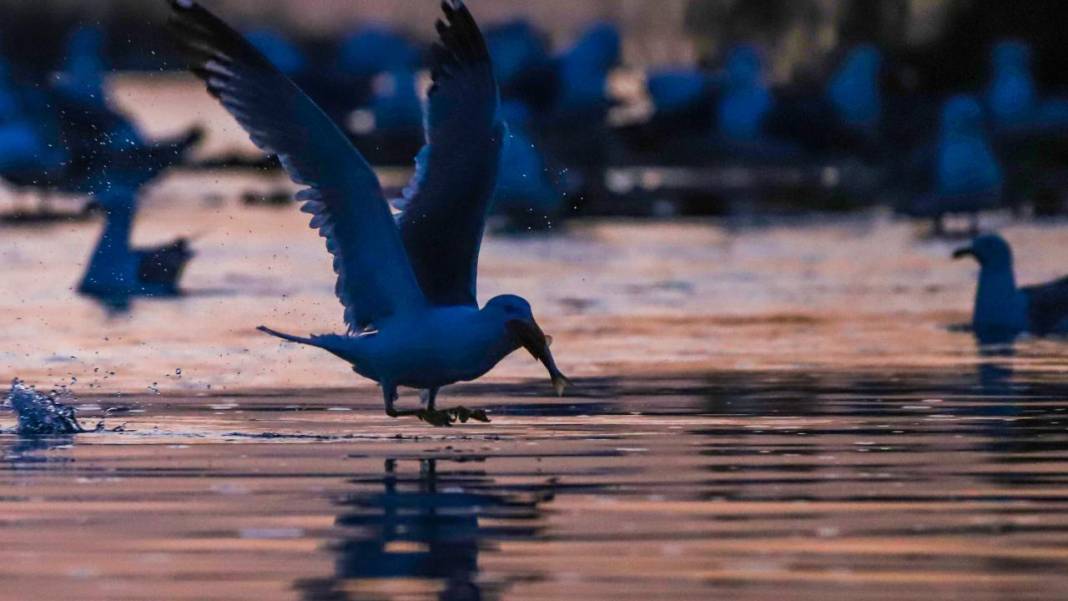 Van Gölü'nde gün batımı 2