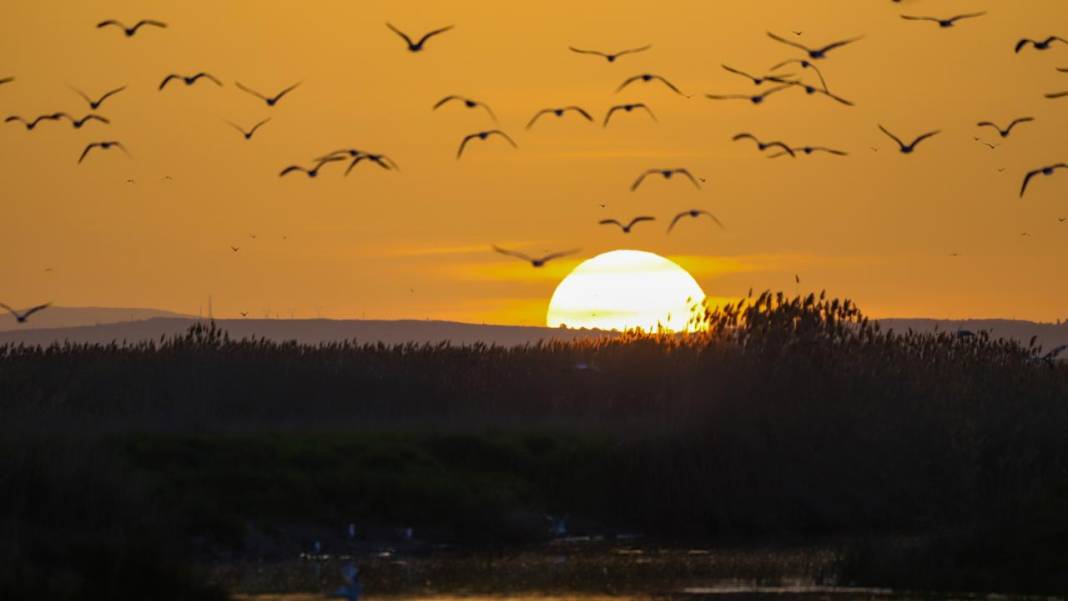 Van Gölü'nde gün batımı 3