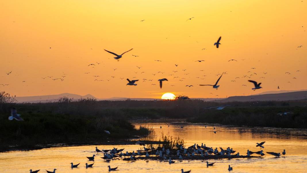 Van Gölü'nde gün batımı 5