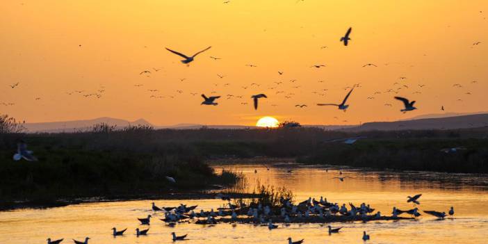 Van Gölü'nde gün batımı