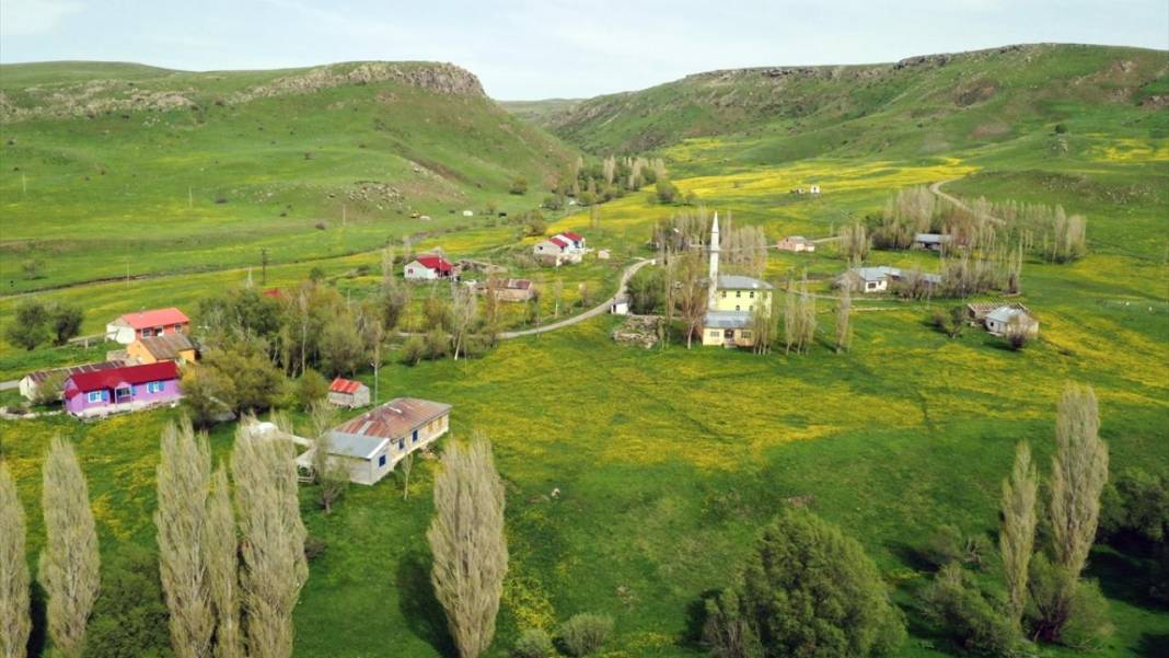 Ağrı'da baharın gelişiyle dağlar rengarenk oldu 9