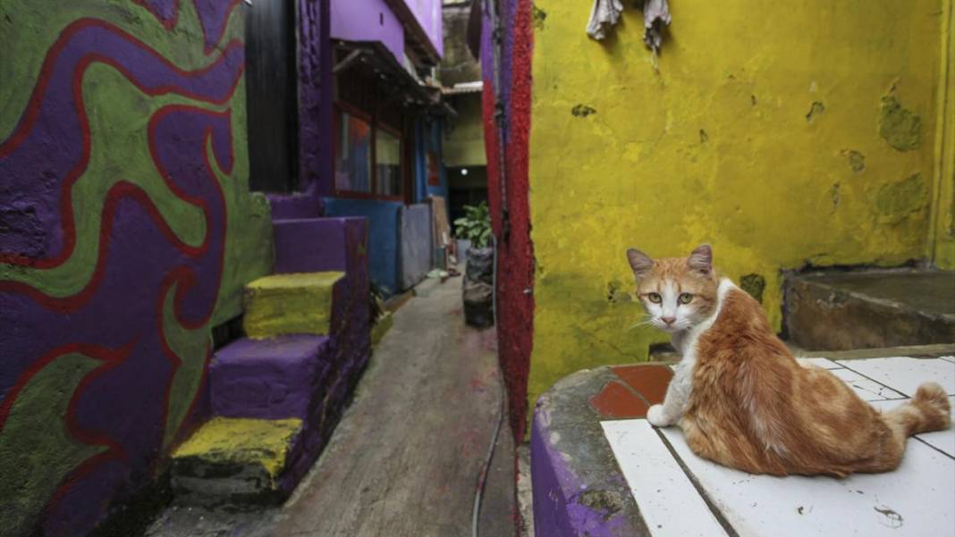 Endonezya'nın renkli mahallesi: Lembur Katumbiri 10